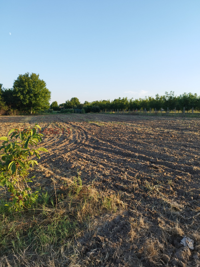 Продава ПАРЦЕЛ, с. Козаревец, област Велико Търново, снимка 2 - Парцели - 52784011