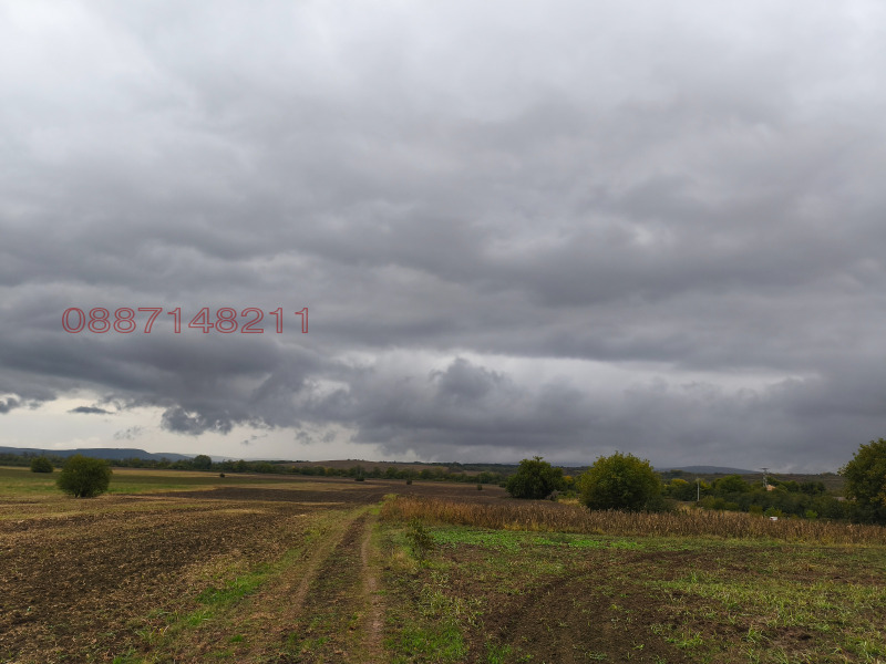 Продава ПАРЦЕЛ, с. Козаревец, област Велико Търново, снимка 3 - Парцели - 52784011