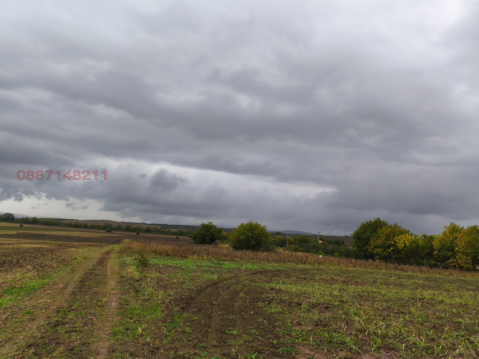 Продава ПАРЦЕЛ, с. Козаревец, област Велико Търново, снимка 4 - Парцели - 53604608