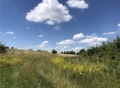 Продава  Парцел област Перник , с. Драгичево , 24000 кв.м | 38091715