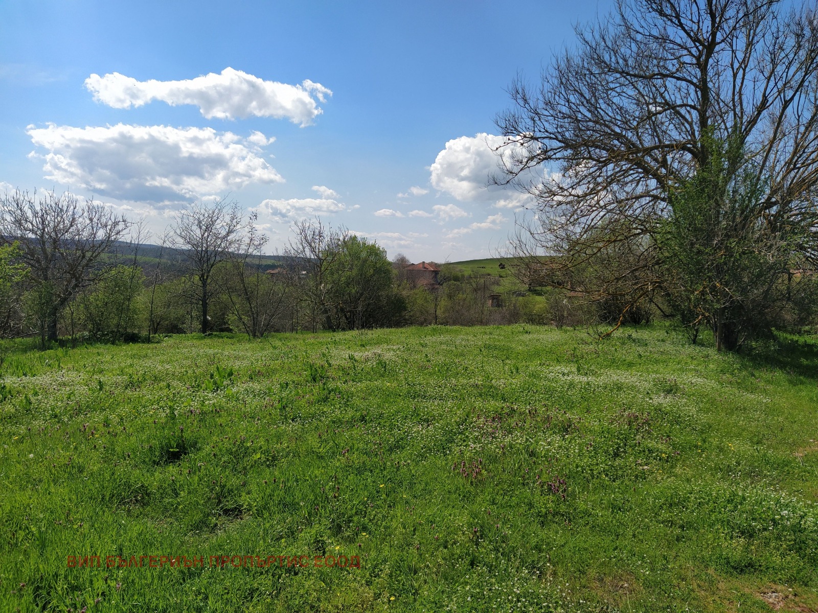 ������� ���� | Imot.bg � ����������� 5