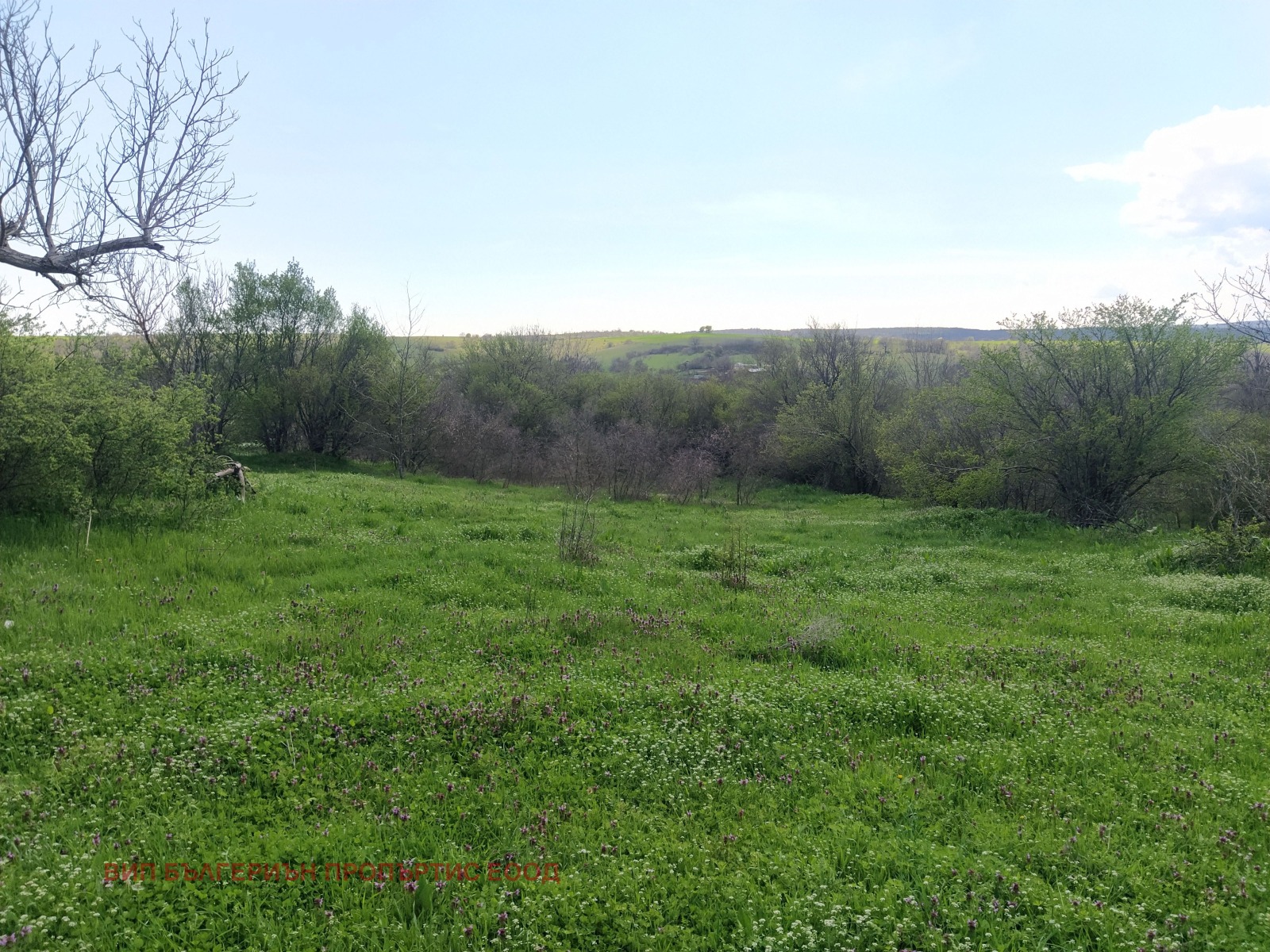 ������� ���� | Imot.bg � ����������� 7