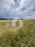 Продава ЗЕМЕДЕЛСКА ЗЕМЯ, с. Първенец, област Пловдив, снимка 2