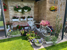 ������� ����� | Imot.bg � ����� ������ 7