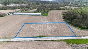 ������ ������� ������