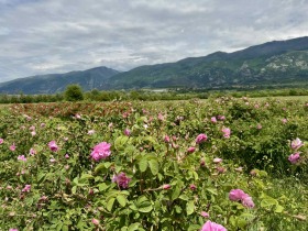 ������� ���������� ���� | Imot.bg � ����� ������ 2