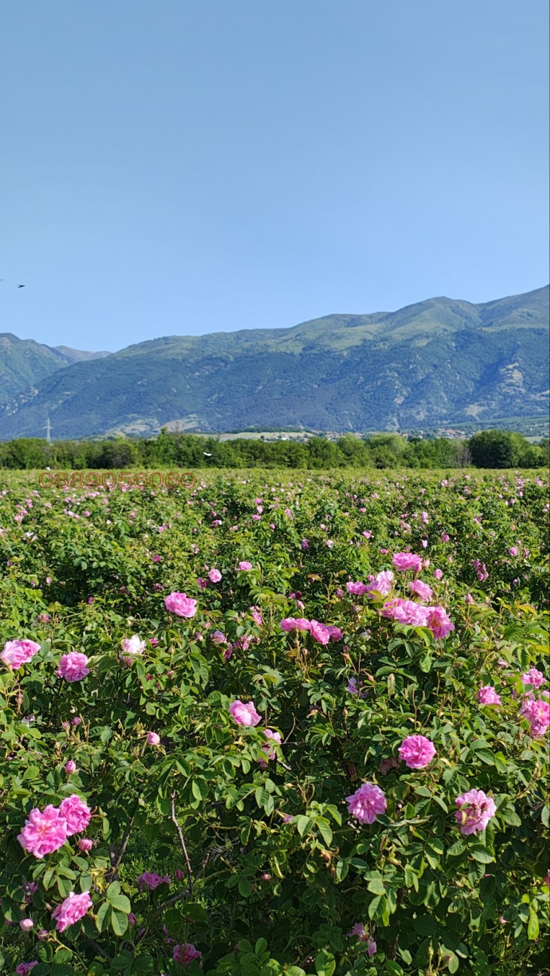 Продава ЗЕМЕДЕЛСКА ЗЕМЯ, гр. Карлово, област Пловдив