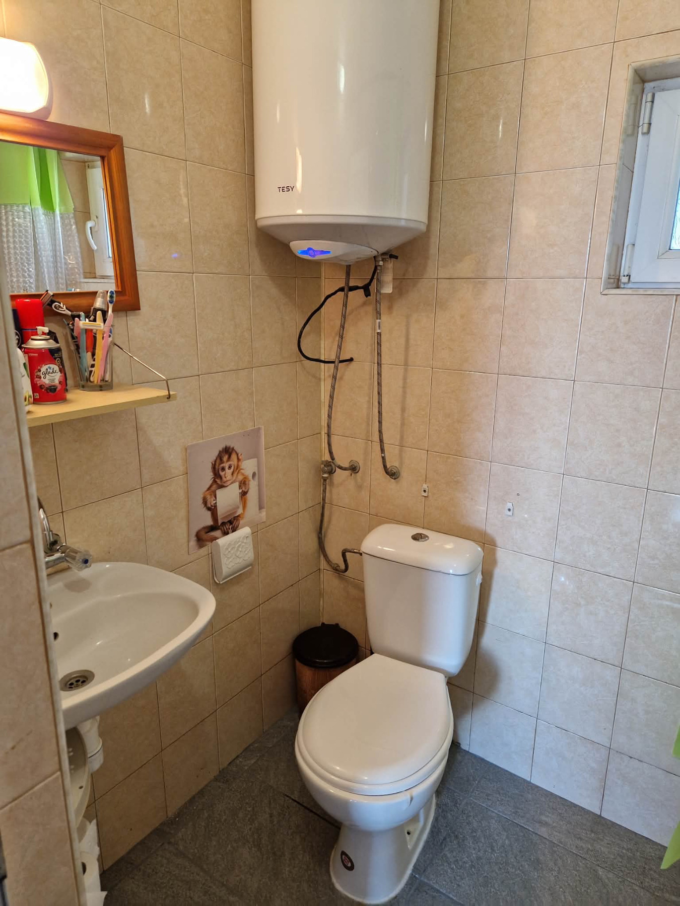 Продава КЪЩА, с. Черногорово, област Пазарджик, снимка 14 - Къщи - 56056364