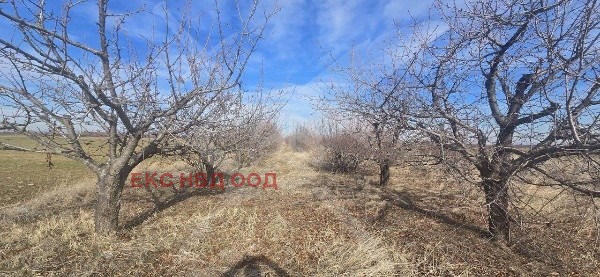 ������� ���������� ���� | Imot.bg � ����������� 2