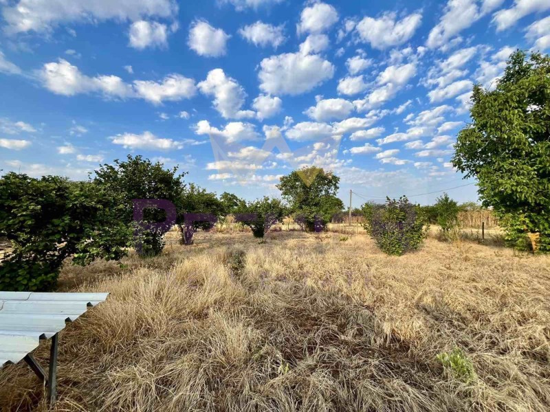 Till salu  Komplott region Dobrich , Zmeevo , 12759 kvm | 89906306 - bild [16]