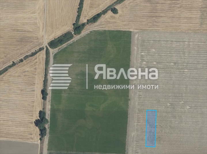 Till salu  Komplott region Plovdiv , Brestovica , 2301 kvm | 51864546 - bild [2]