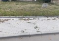 Продава ПАРЦЕЛ, гр. Карлово, област Пловдив, снимка 2