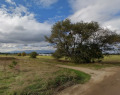 Продава ПАРЦЕЛ, гр. София, Бенковски, снимка 4