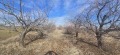 Продава ЗЕМЕДЕЛСКА ЗЕМЯ, с. Цалапица, област Пловдив, снимка 2