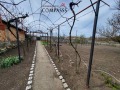 Продава КЪЩА, област Добрич, с. Спасово • 85000 лв. • 26336199 — Holmes.bg