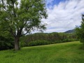 Продава ПАРЦЕЛ, област Ловеч, гр. Априлци • 65600 лв. • 63188745 — Holmes.bg