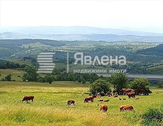 Продава КЪЩА, с. Големо Бучино, област Перник, снимка 7 - Къщи - 49185698