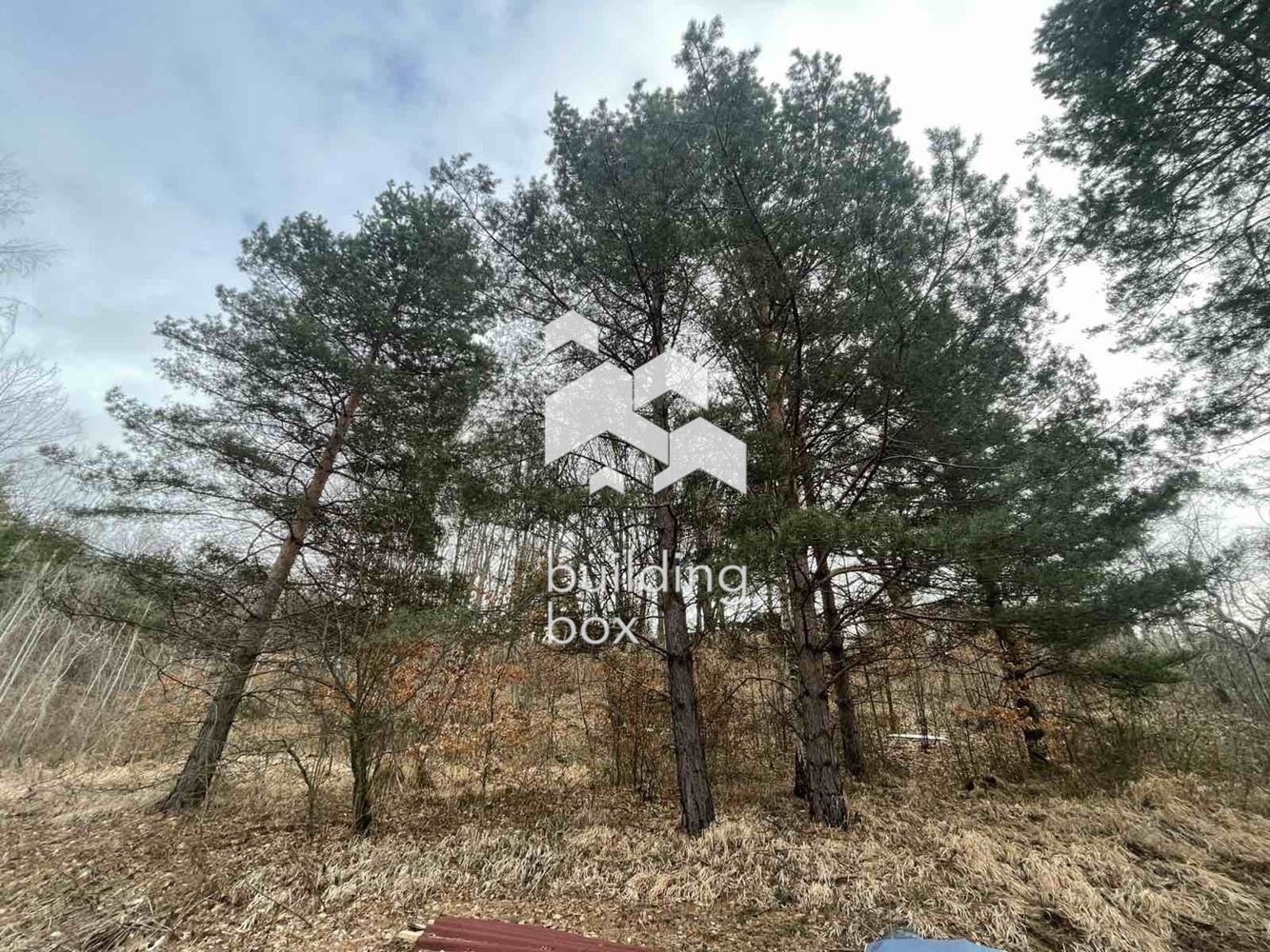 Продава ПАРЦЕЛ, гр. София, с. Владая, снимка 3 - Парцели - 54118834