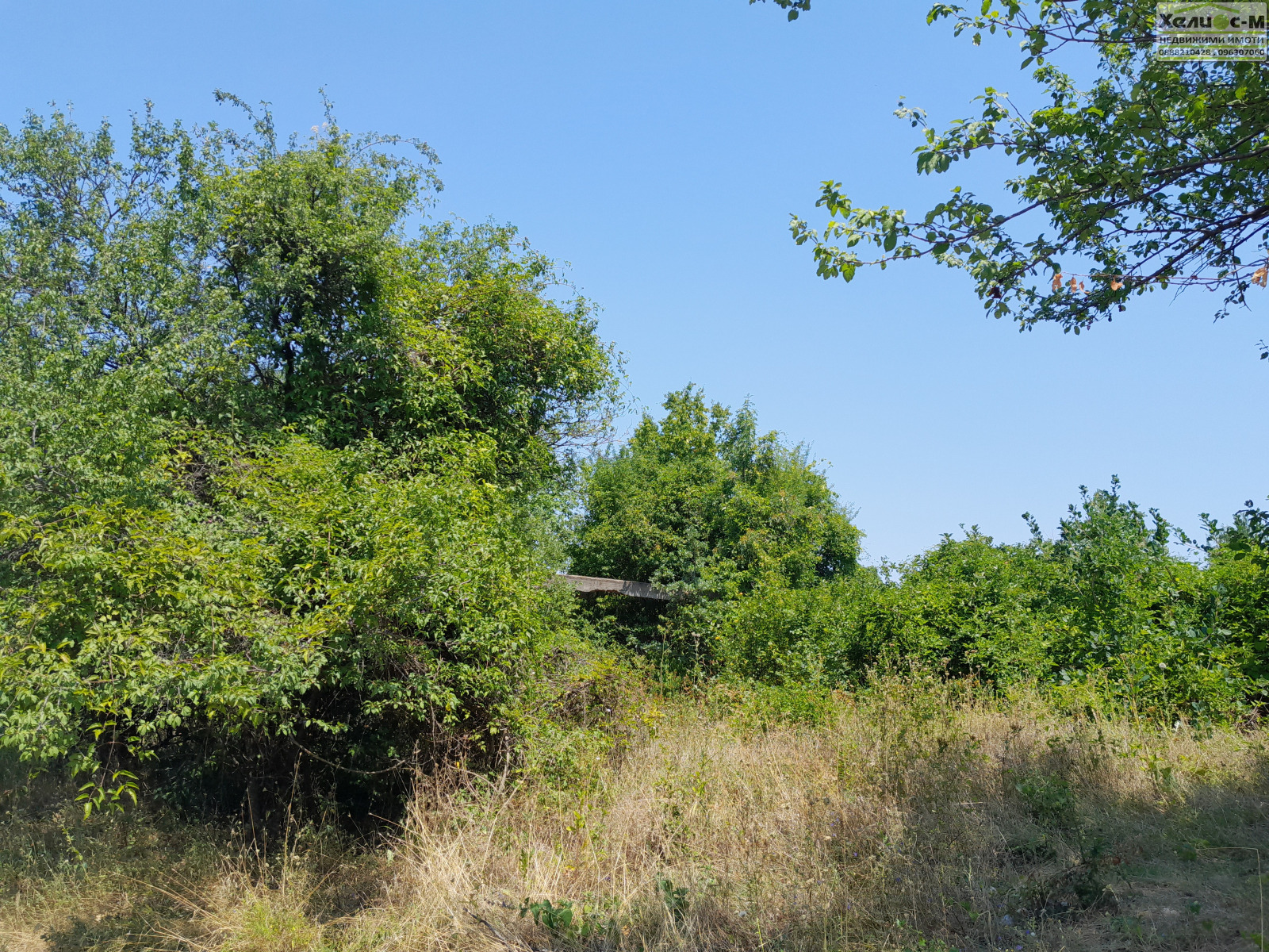 Продава ПАРЦЕЛ, гр. Монтана, в.з. Запад, снимка 2 - Парцели - 47242670