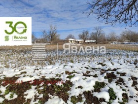 Сюжет Кривня, область Варна