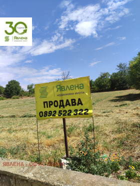 Сюжет Кривня, область Варна