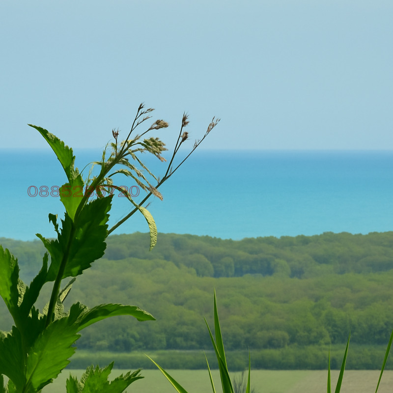 Продава ПАРЦЕЛ, с. Рогачево, област Добрич, снимка 4 - Парцели - 52783710