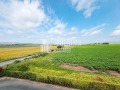 Продава 1-СТАЕН, област Бургас, к.к. Слънчев бряг • 37500 € / 73343.62 лв. • 87814055 12