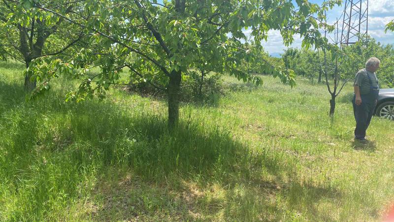 ������� ���������� ���� | Imot.bg � ����������� 3