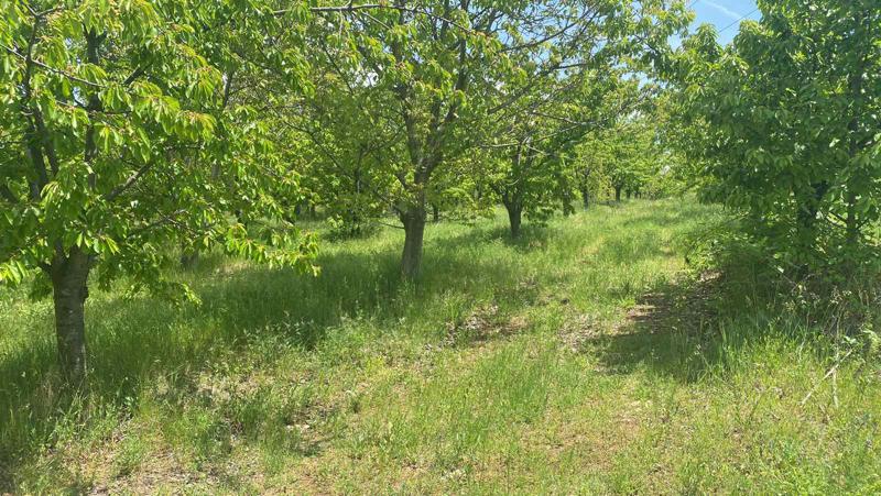 ������� ���������� ���� | Imot.bg � ����������� 1