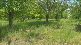 ������� ���������� ���� | Imot.bg � ����� ������ 2