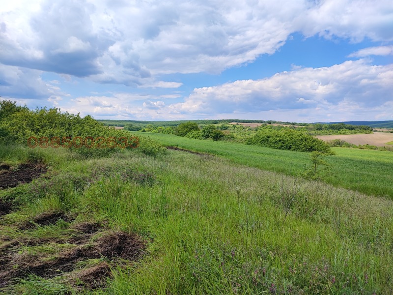 Продава ПАРЦЕЛ, област Варна, с. Болярци • 30000 € • 14655801 — Holmes.bg
