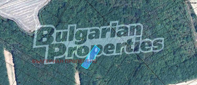 Продава ПАРЦЕЛ, с. Трънково, област Стара Загора, снимка 6 - Парцели - 52241647