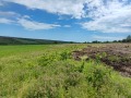Продава ПАРЦЕЛ, област Варна, с. Болярци • 30000 € • 14655801 — Holmes.bg