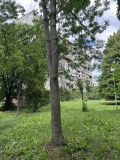 Продава  3-стаен град София , Хиподрума , 73 кв.м | 39251394