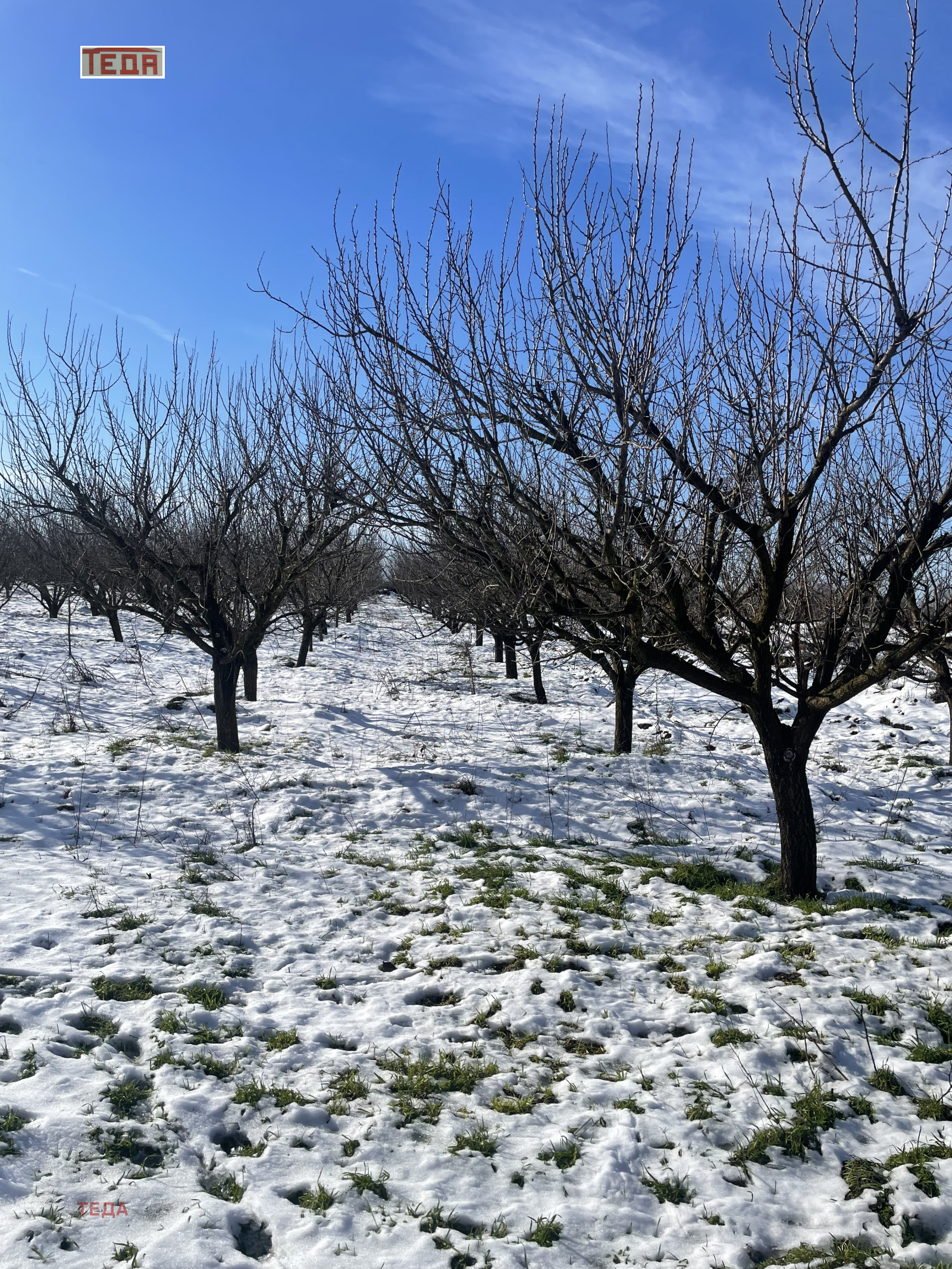 ������� ���� | Imot.bg � ����������� 14