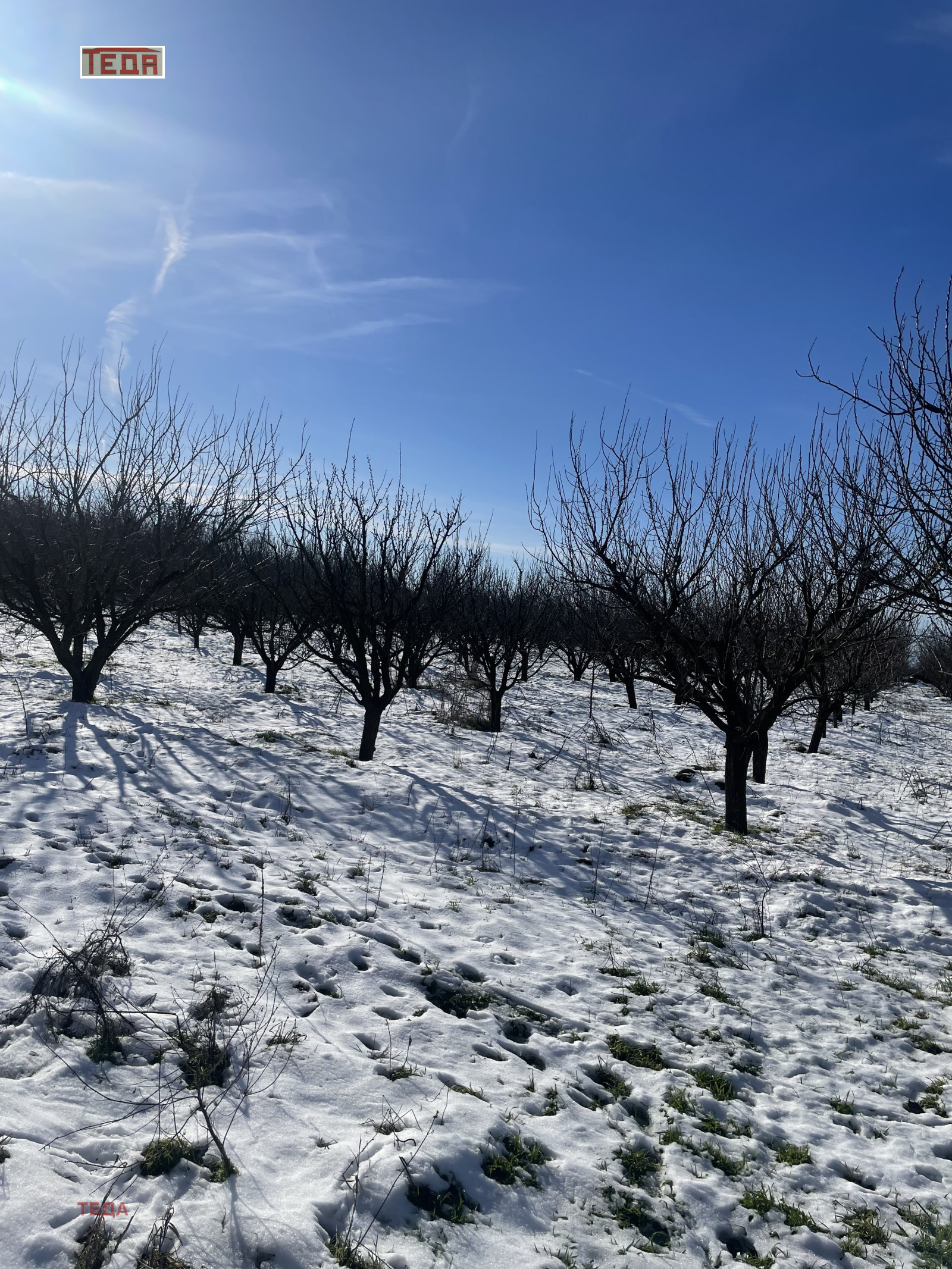 ������� ���� | Imot.bg � ����������� 15