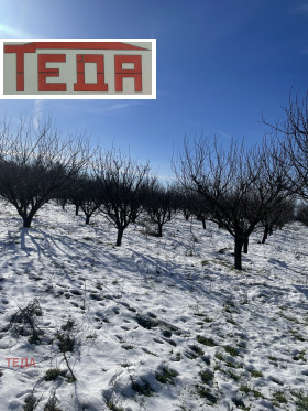 ������� ���� | Imot.bg � ����� ������ 15