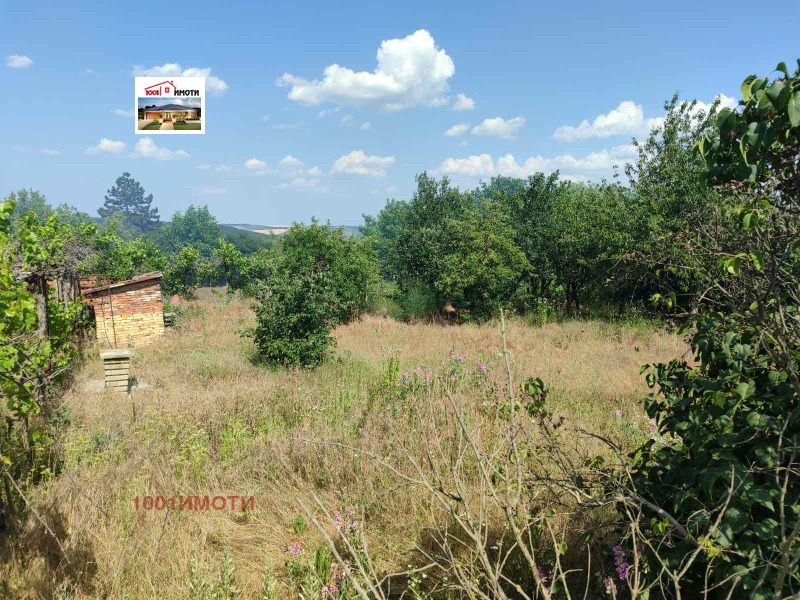 Продава  Къща област Добрич , с. Владимирово , 100 кв.м | 97142986 - изображение [14]