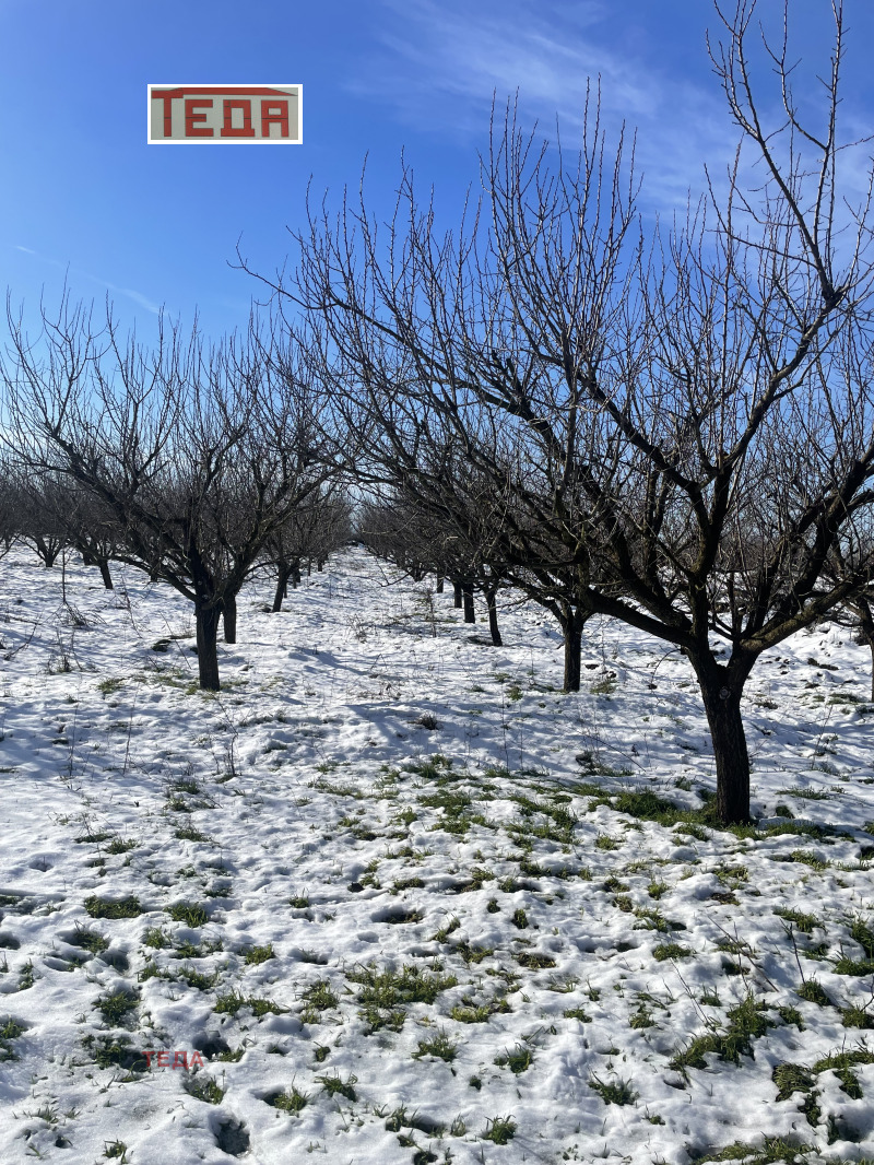 Продава КЪЩА, с. Бързина, област Враца, снимка 13 - Къщи - 53427775