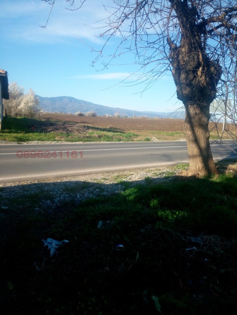 For Sale  Plot region Plovdiv , Asenovgrad , 1305 sq.m | 16679760