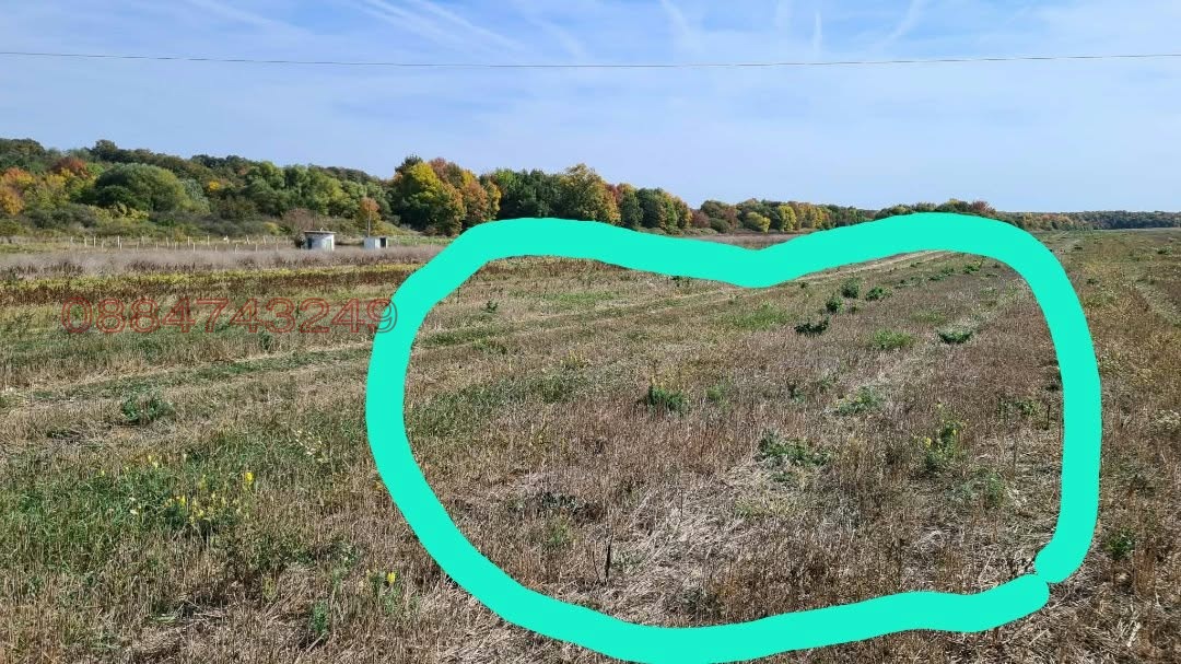 Продава  Земеделска земя област Варна , с. Близнаци , 31 дка | 57339062