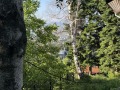 Продава ПАРЦЕЛ, гр. София, Бояна, снимка 3