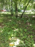 Продава  2-стаен град София , Борово , 75 кв.м | 12019305 - изображение [6]