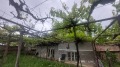 Продава КЪЩА, област Добрич, с. Владимирово • 24000 € • 98972830 — Holmes.bg