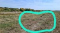 Продава  Земеделска земя област Варна , с. Близнаци , 31 дка | 57339062
