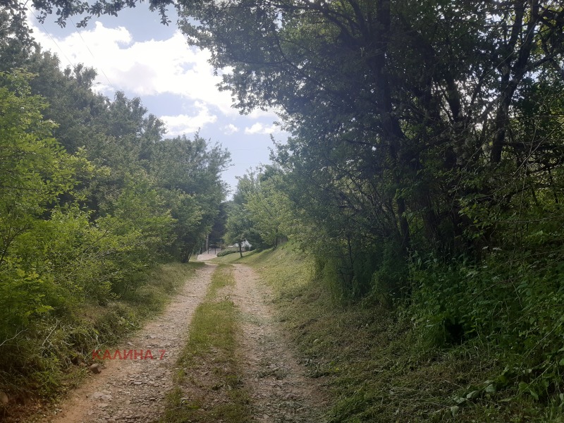 Til salg  Grund region Sofia , Gintsi , 2290 kvm | 62439756 - billede [7]
