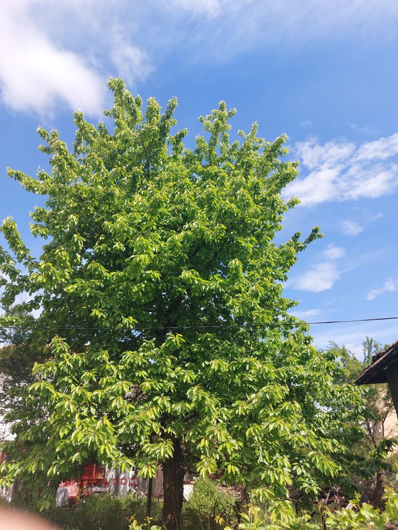 На продаж  Сюжет Перник , Байкушева махала , 570 кв.м | 80829418 - зображення [4]