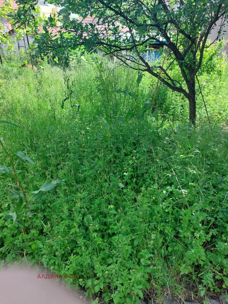 На продаж  Сюжет Перник , Байкушева махала , 570 кв.м | 80829418 - зображення [2]
