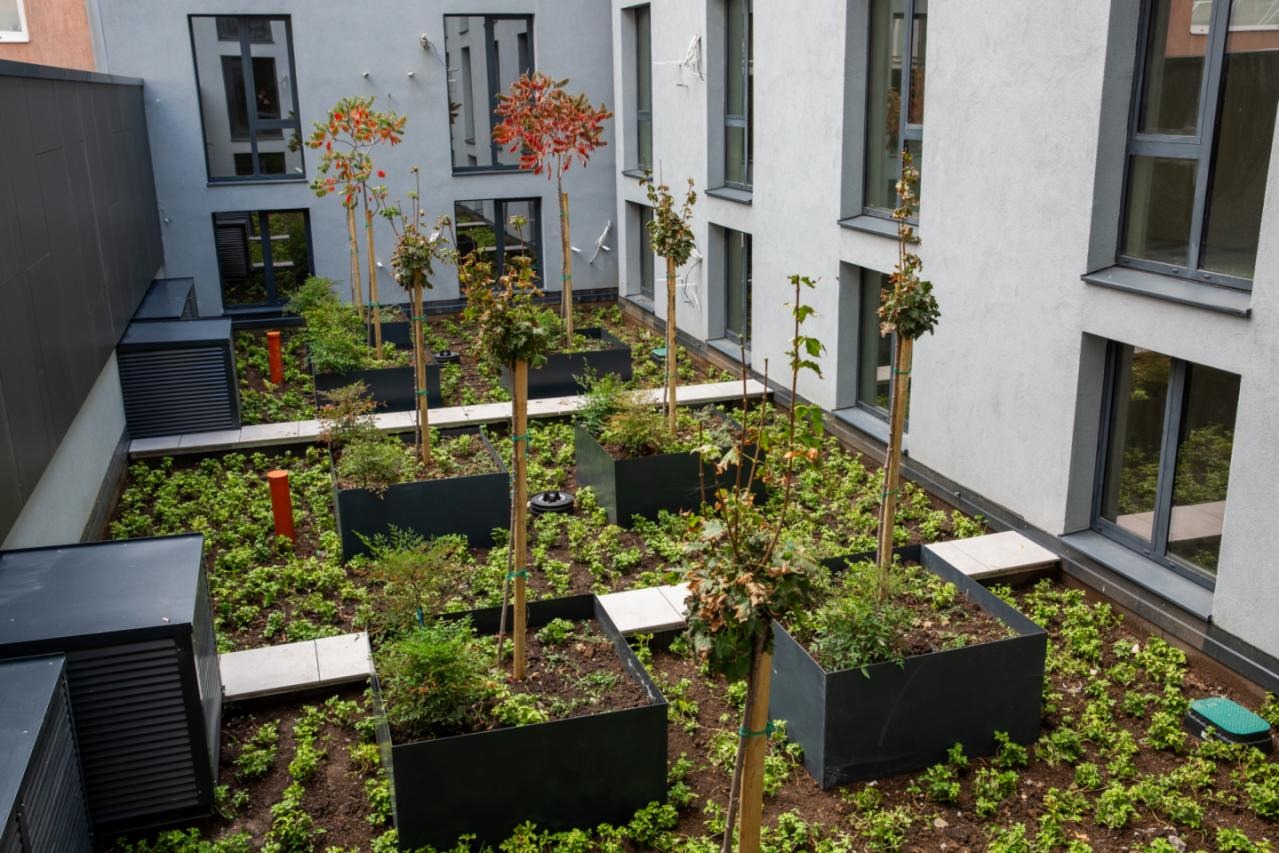 ������� 4-����� | Imot.bg � ����������� 17