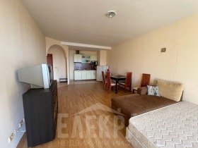 1 bedroom k.k. Zlatni pyasatsi, Varna 11